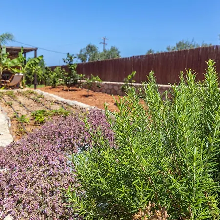 Appartamento γηorganic Farm And Houses. *