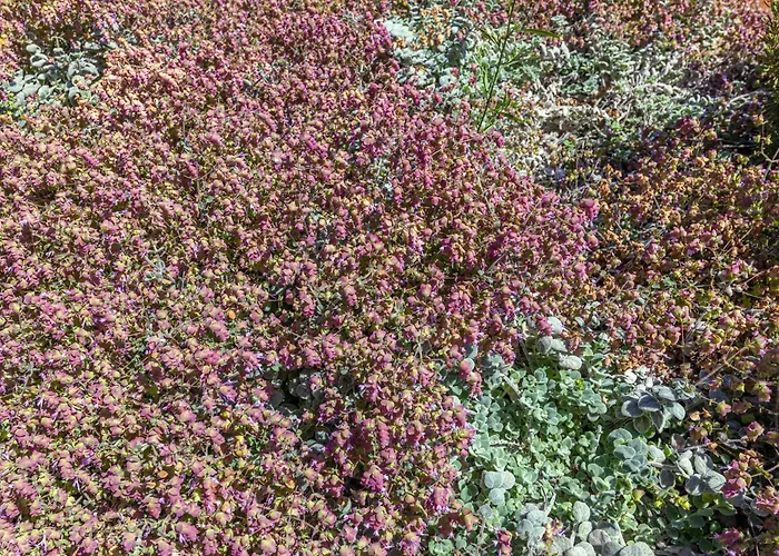 γηorganic Farm And Houses. خيرسونِسوس