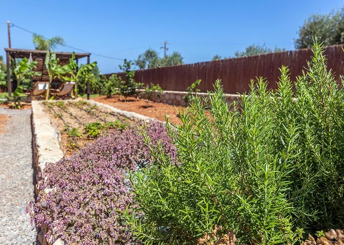 Apartment γηorganic Farm And Houses. *